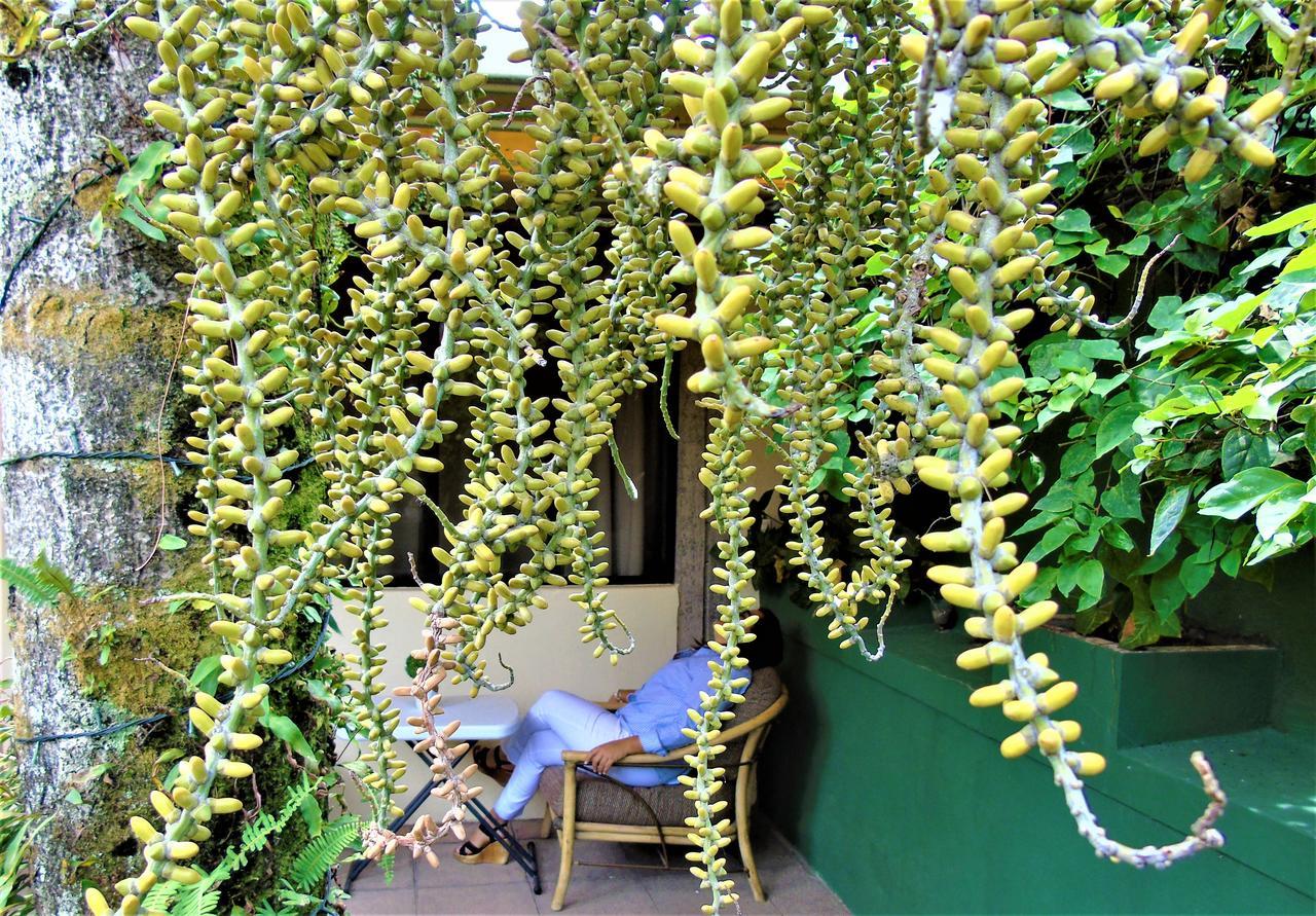 Magnolias Boutique Hotel San Salvador