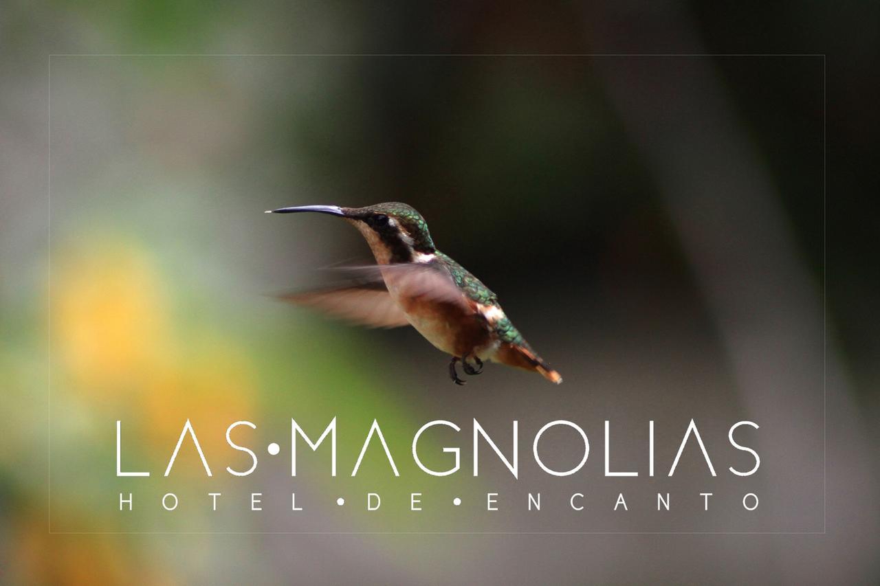 Hotel Magnolias Boutique 3*